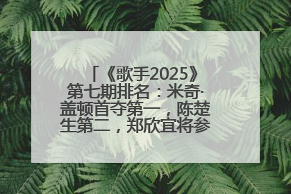 《歌手2025》第七期排名：米奇·盖顿首夺第一，陈楚生第二，郑欣宜将参加下一轮张榜赛