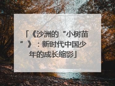 《沙洲的“小树苗”》：新时代中国少年的成长缩影