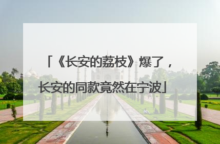 《长安的荔枝》爆了，长安的同款竟然在宁波