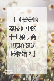 《长安的荔枝》中的十七娘，竟出现在延边博物馆？