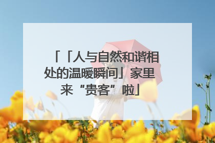 「人与自然和谐相处的温暖瞬间」家里来“贵客”啦