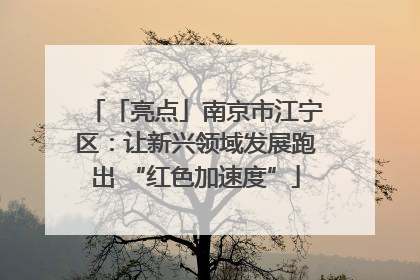 「亮点」南京市江宁区：让新兴领域发展跑出 “红色加速度”