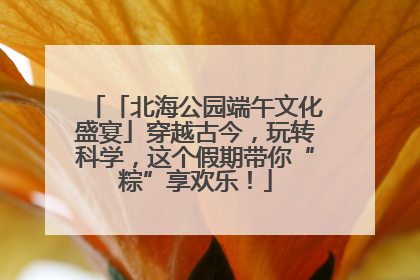 「北海公园端午文化盛宴」穿越古今，玩转科学，这个假期带你“粽”享欢乐！