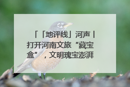 「地评线」河声丨打开河南文旅“藏宝盒”，文明瑰宝澎湃发展“豫动能”