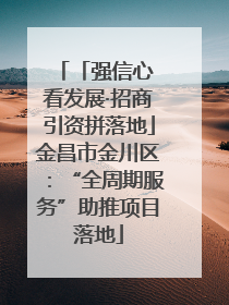 「强信心 看发展·招商引资拼落地」金昌市金川区：“全周期服务”助推项目落地