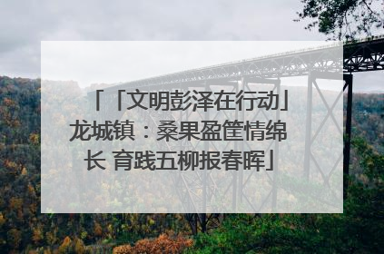 「文明彭泽在行动」龙城镇：桑果盈筐情绵长 育践五柳报春晖