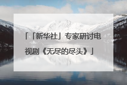 「新华社」专家研讨电视剧《无尽的尽头》