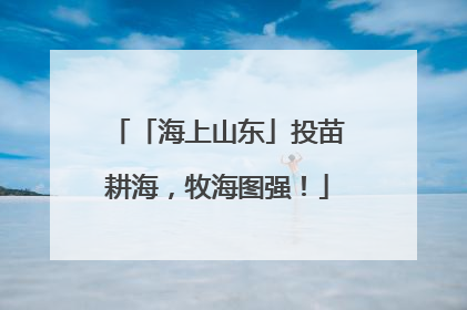 「海上山东」投苗耕海，牧海图强！