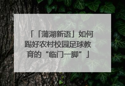 「蒲湖新语」如何踢好农村校园足球教育的“临门一脚”