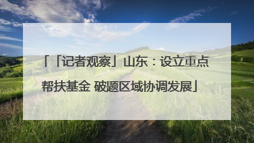 「记者观察」山东：设立重点帮扶基金 破题区域协调发展