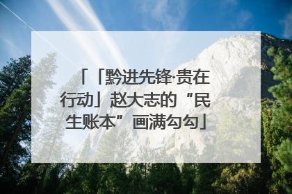 「黔进先锋·贵在行动」赵大志的“民生账本”画满勾勾