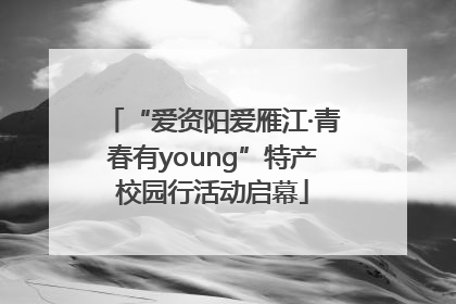 “爱资阳爱雁江·青春有young”特产校园行活动启幕