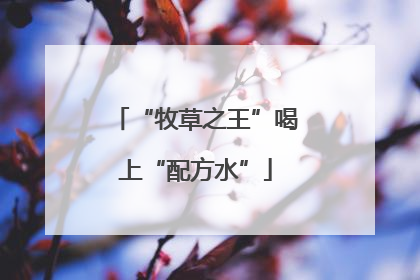 “牧草之王”喝上“配方水”