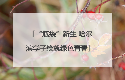 “瓶袋”新生 哈尔滨学子绘就绿色青春