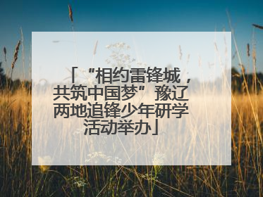 “相约雷锋城，共筑中国梦”豫辽两地追锋少年研学活动举办