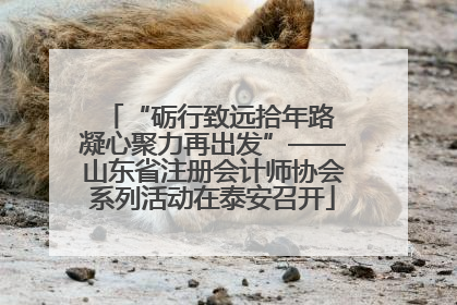 “砺行致远拾年路 凝心聚力再出发”——山东省注册会计师协会系列活动在泰安召开