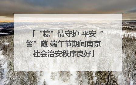 “粽”情守护 平安“警”随 端午节期间南京社会治安秩序良好