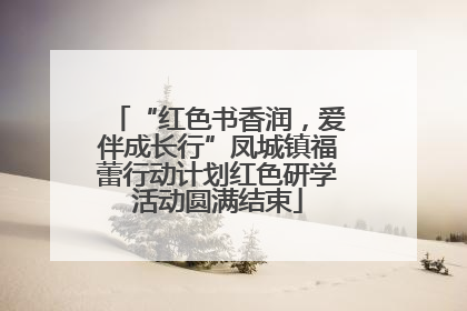 “红色书香润，爱伴成长行”凤城镇福蕾行动计划红色研学活动圆满结束