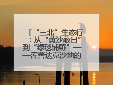 “三北”生态行：从“黄沙蔽日”到“绿毯铺野”——浑善达克沙地的“绿色重生”