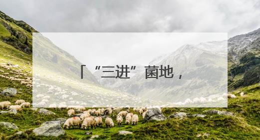 “三进”菌地，“黑木耳法庭”呵护乡村梦想