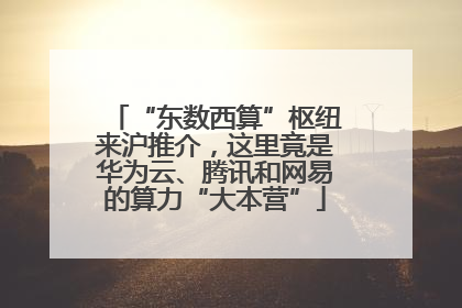 “东数西算”枢纽来沪推介，这里竟是华为云、腾讯和网易的算力“大本营”