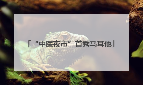 “中医夜市”首秀马耳他
