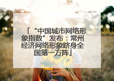 “中国城市网络形象指数”发布：常州经济网络形象跻身全国第一方阵