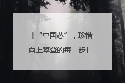 “中国芯”，珍惜向上攀登的每一步