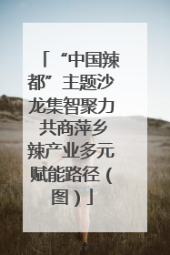 “中国辣都”主题沙龙集智聚力 共商萍乡辣产业多元赋能路径（图）