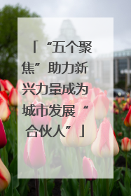 “五个聚焦”助力新兴力量成为城市发展“合伙人”