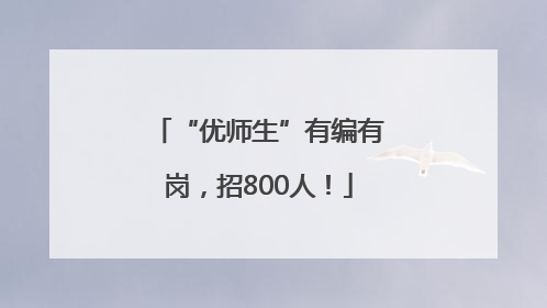 “优师生”有编有岗，招800人！