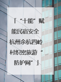 “十能”赋能民宿安全 杭州余杭四岭村织密旅游“防护网”