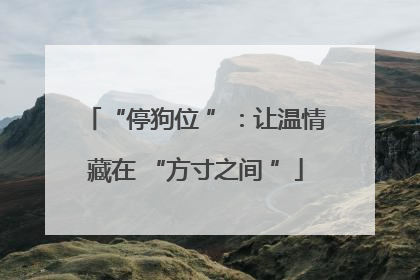 “停狗位 ”：让温情藏在 “方寸之间 ”