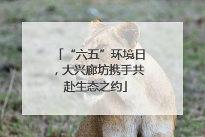 “六五”环境日，大兴廊坊携手共赴生态之约