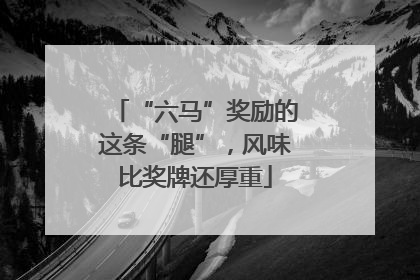 “六马”奖励的这条“腿”，风味比奖牌还厚重
