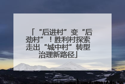 “后进村”变“后劲村”！胜利村探索走出“城中村”转型治理新路径