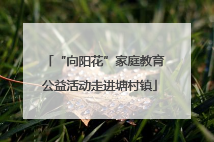 “向阳花”家庭教育公益活动走进塘村镇