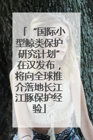 “国际小型鲸类保护研究计划”在汉发布，将向全球推介落地长江江豚保护经验