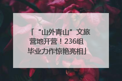 “山外青山”文旅营地开营！236组毕业力作惊艳亮相