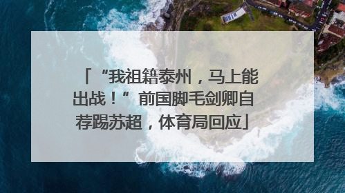 “我祖籍泰州，马上能出战！”前国脚毛剑卿自荐踢苏超，体育局回应