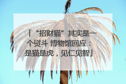 “招财猫”其实是一个熨斗 博物馆回应：是猫是虎，见仁见智