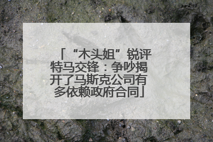 “木头姐”锐评特马交锋：争吵揭开了马斯克公司有多依赖政府合同