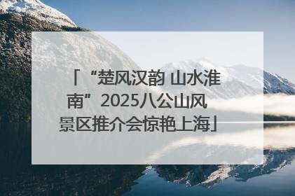 “楚风汉韵 山水淮南”2025八公山风景区推介会惊艳上海