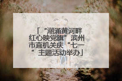 “潮涌黄河畔 红心映党旗”滨州市直机关庆“七一”主题活动举办