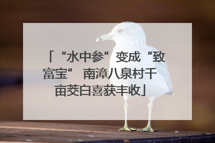 “水中参”变成“致富宝” 南漳八泉村千亩茭白喜获丰收