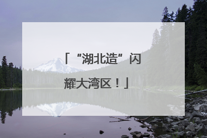 “湖北造”闪耀大湾区！