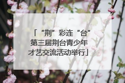 “荆”彩连“台” 第三届荆台青少年才艺交流活动举行