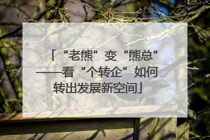 “老熊”变“熊总”——看“个转企”如何转出发展新空间