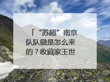“苏超”南京队队徽是怎么来的？收藏家王世清细说源头