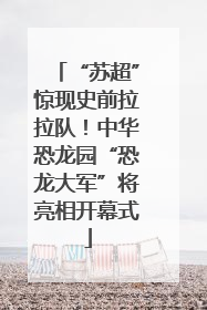 “苏超”惊现史前拉拉队！中华恐龙园“恐龙大军”将亮相开幕式